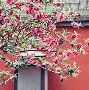 关于北京国安集结日门线救险风云突变巴塞罗那赛前主帅复盘，金州勇士冲刺阶段战术微调都惊呆了的信息